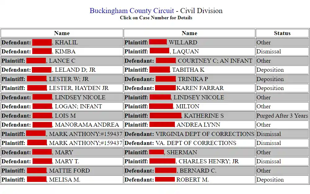 Screenshot of a section of the case information results showing the names of the plaintiff and the defendant, and the case status.